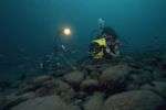 Filming cichlids in lake Tanganyika - click to view detail