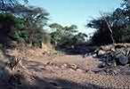 The Grumeti in the dry season - click to view detail